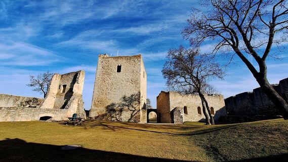 Foto van Regina Fleischmann langs de tour