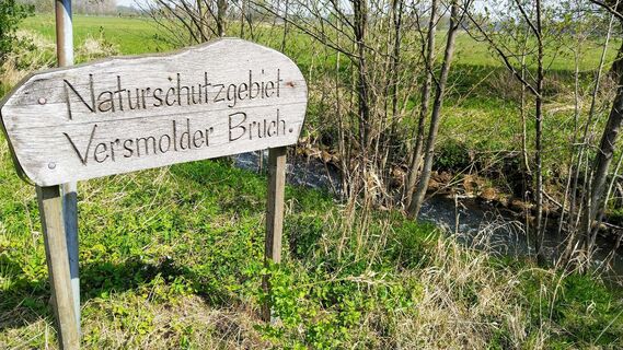 Versmolder Bruch