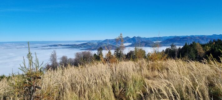 Foto von Gabi G entlang der Tour