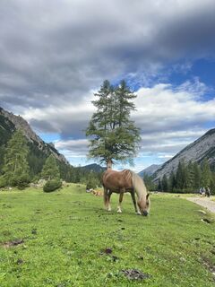 Foto von Torsten Federkeil entlang der Tour
