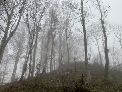 Photo de Leo Fahrngruber le long du parcours