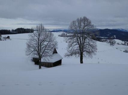 Winterwanderung Guggisberg