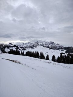 Zdjęcie z PhKaufmann wzdłuż trasy