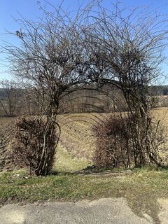 Foto de Carola Krems a lo largo del recorrido