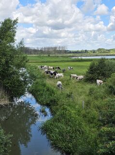 Photo de Janlee le long du parcours