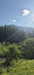 Zdjęcie z Doris Falk wzdłuż trasy