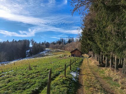 Fotografia z Rudi na trase
