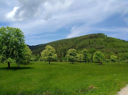 Große Wiese zwischen Brotenau- und Eyachtal
