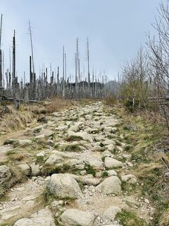 Foto von Simon Liranzo entlang der Tour