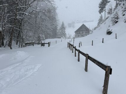 Foto von Daniel Herz entlang der Tour