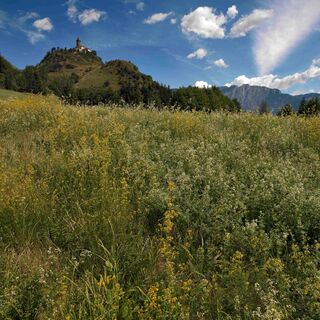 Castello di Fiemme