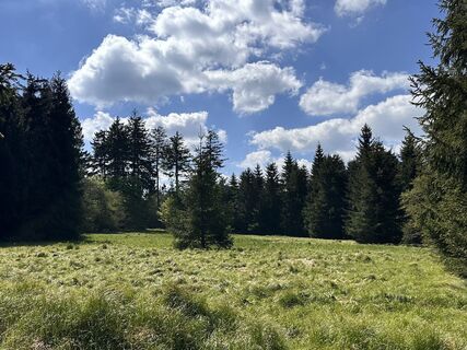 Foto von Norbert Herbig entlang der Tour