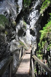 Falkenschlucht-Tour