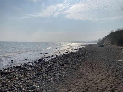 Photo de Wolf Ese le long du parcours