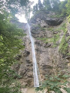 Photo de frigur le long du parcours