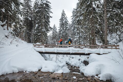 Scheffau_Kaiseralm_Schneeschuhrunde_Wegscheidbrücke_Wilder Kaiser