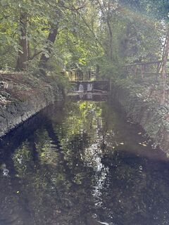 Fotografija s spletne strani erwin kragt na poti