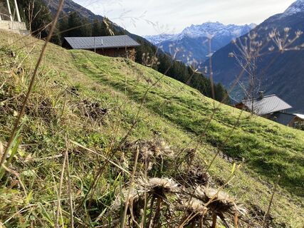 Foto von Annika Cordes entlang der Tour