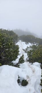 Photo de Markus le long du parcours