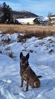 Fotografija s spletne strani Bergerw29 na poti