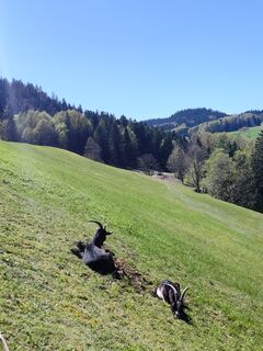 Fotografija s spletne strani Ralf Hubrich na poti