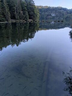 Photo de Marco Weiß le long du parcours