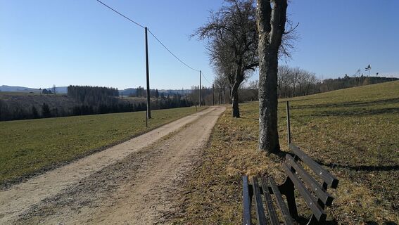 Wanderung rund um Burglemnitz