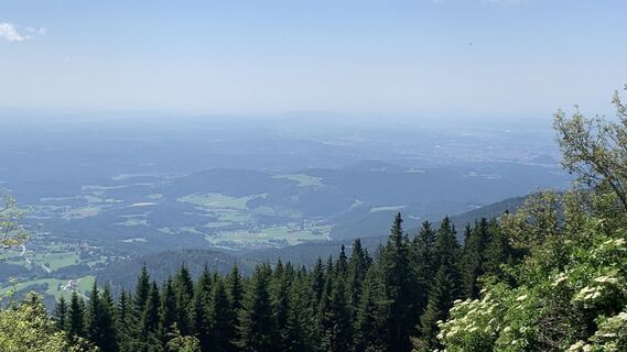 Foto von Wilhelm entlang der Tour