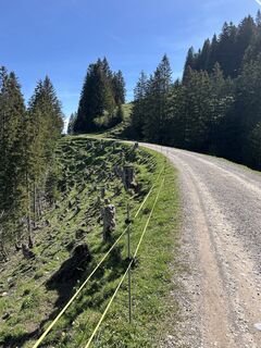 Fotografija s spletne strani Ewald Zweifel na poti