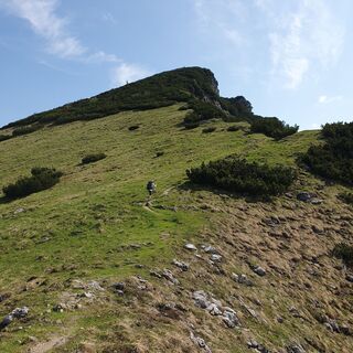 Fotografie z garrincha na trase
