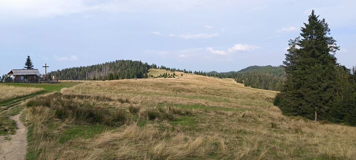 Fotografia z Romek Dwornik na trase