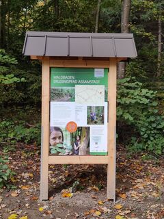 Infotafel Waldbadepfad Assamstadt
