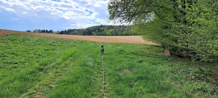 Photo de Dana Polak le long du parcours