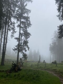 Foto von Petra Haslinger entlang der Tour