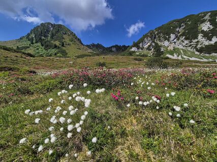 Fotografija s spletne strani melvet na poti