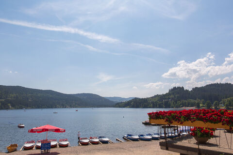 Seepromenade Titisee