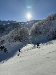 Fotografia z gilduz na trase