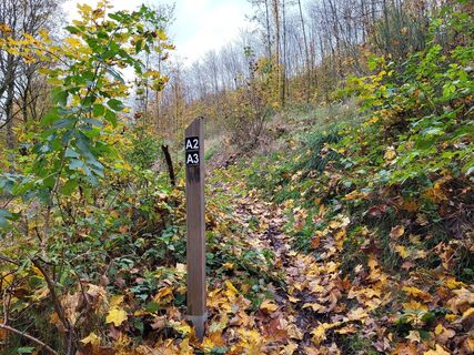 Wandern auf den Weddelbergrundwegen