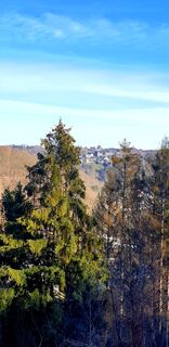 Blick auf Schloss Burg