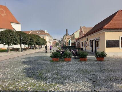 Fotografia z Heinz 68 na trase