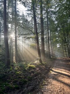 Photo de Marleen Blomsma le long du parcours