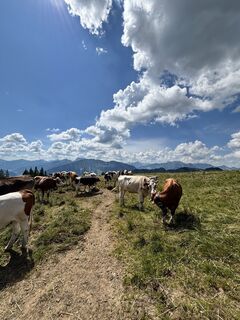 Foto von Heiko Harms entlang der Tour