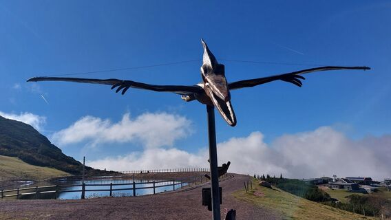 Photo de Thomas Berensmann le long du parcours