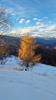 Fotografie z Fabrizi Mellano na trase