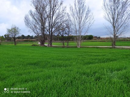 Photo de carmper le long du parcours