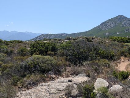 Foto de BettiKreibiehl a lo largo del recorrido