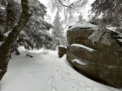 Photo from Christian Bozsoki along the tour