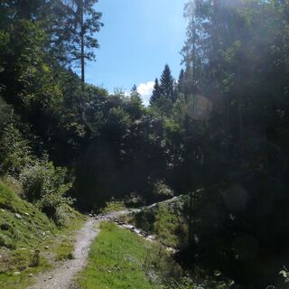 Der Pfad führt oft durch Wald.