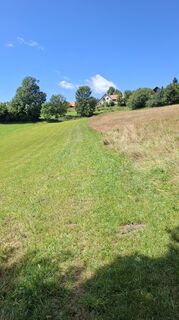 Foto fra Hubert Sellnar undervejs på turen