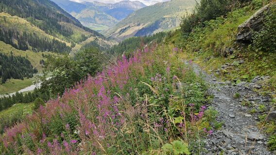 Foto von Matthias Fidesser entlang der Tour